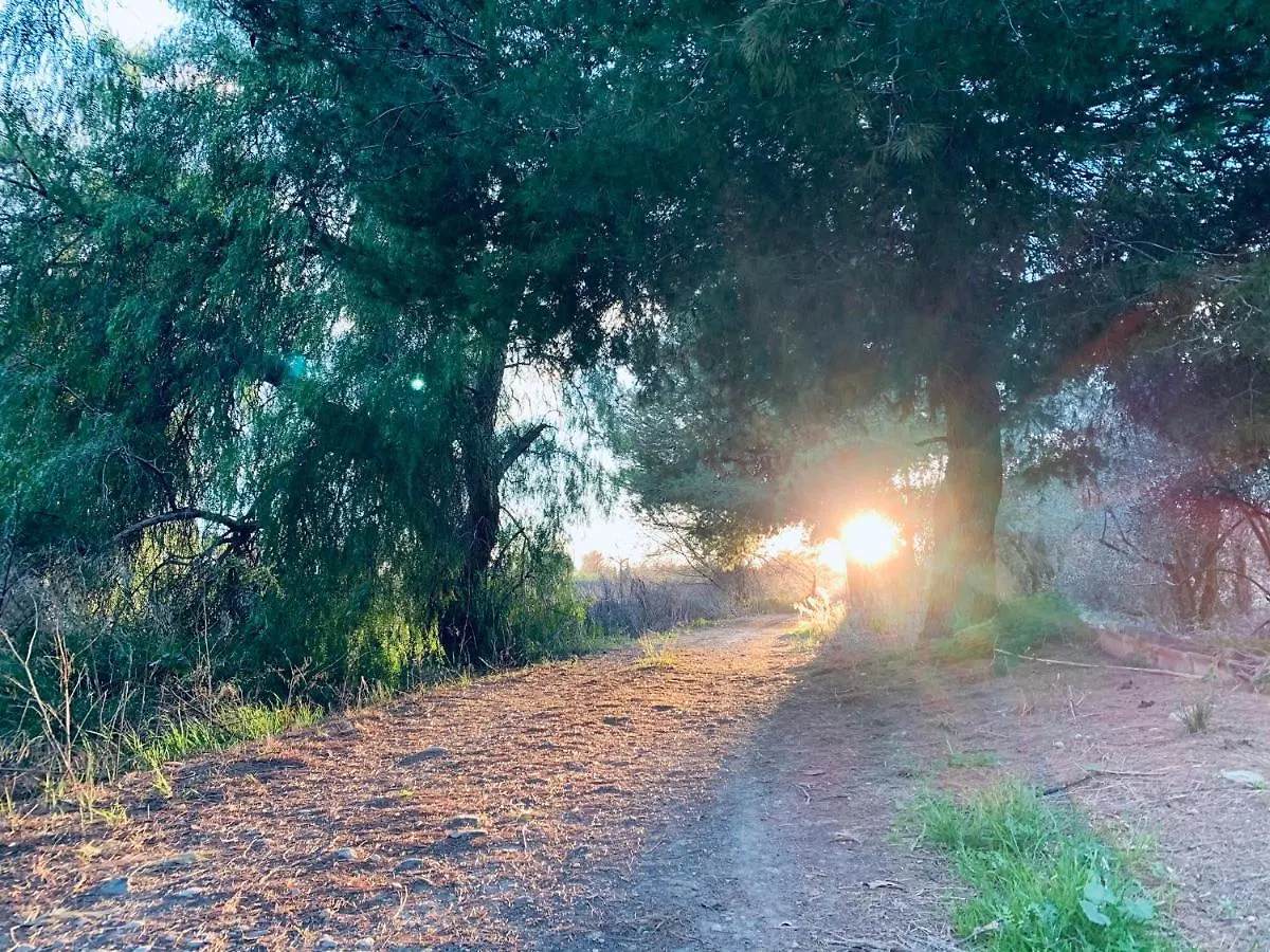Monte Rosado viviendas vacacionales La Peza España